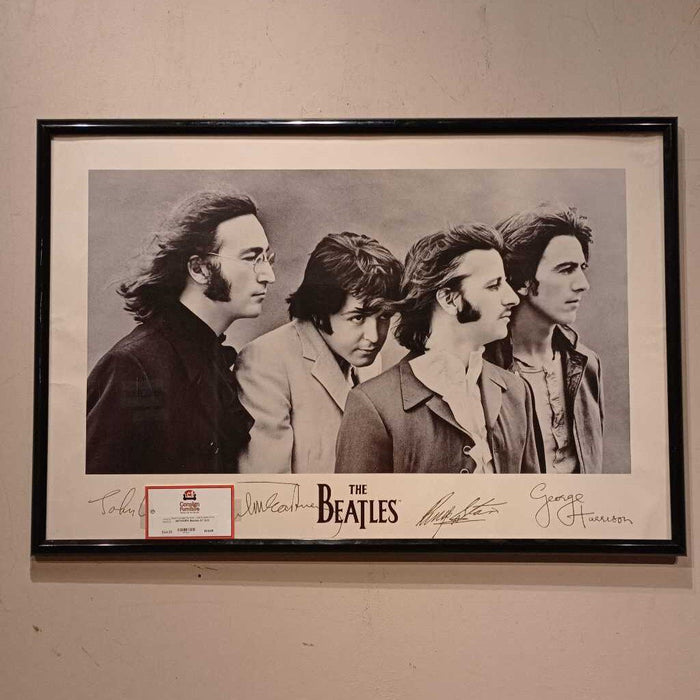 Beetles Art (LC)