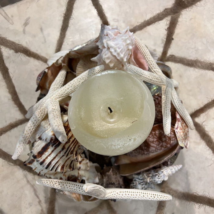 Candle Seashell Glass Container