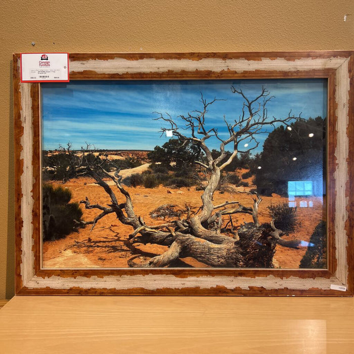 Desert + Tree Artwork (CI)