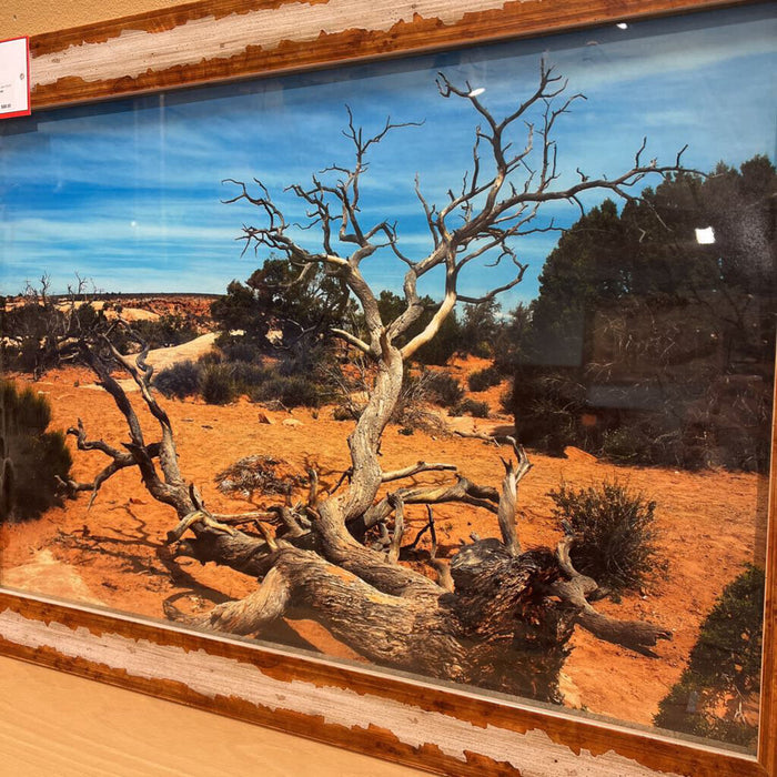 Desert + Tree Artwork (CI)