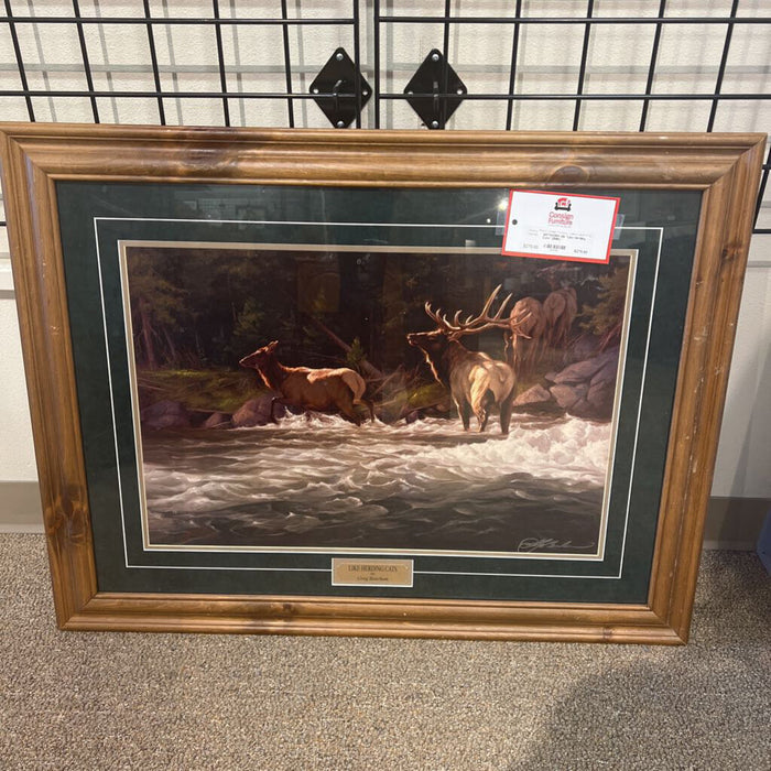 Elk "Like Herding Cats" (BMK)