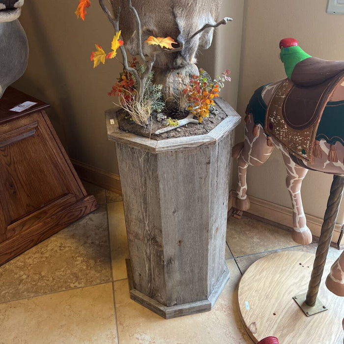 White Tail Buck Mount (BBKH)