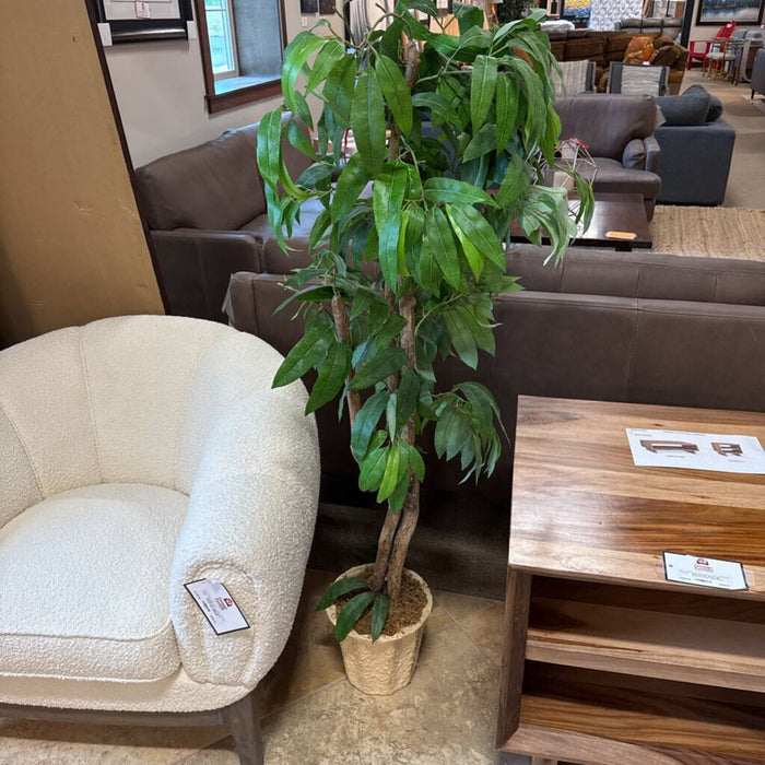 Sm Long Leaf Tree (AS)