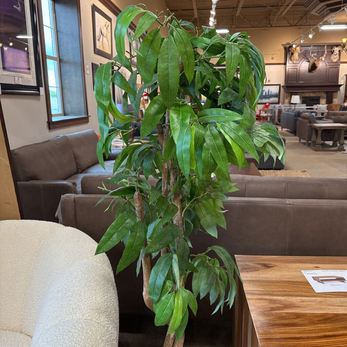 Sm Long Leaf Tree (AS)