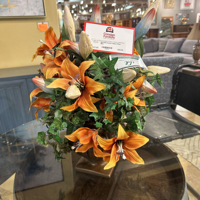 Potted Yellow Plant (BL)