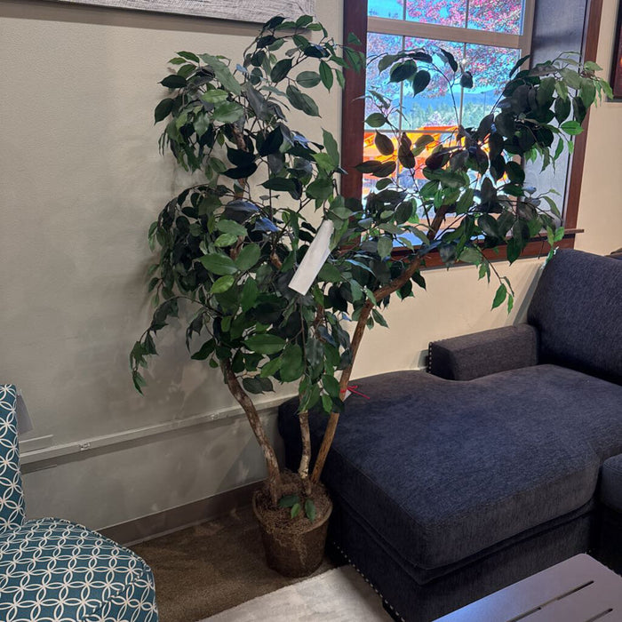 3 Trunk Tree no pot (AS)