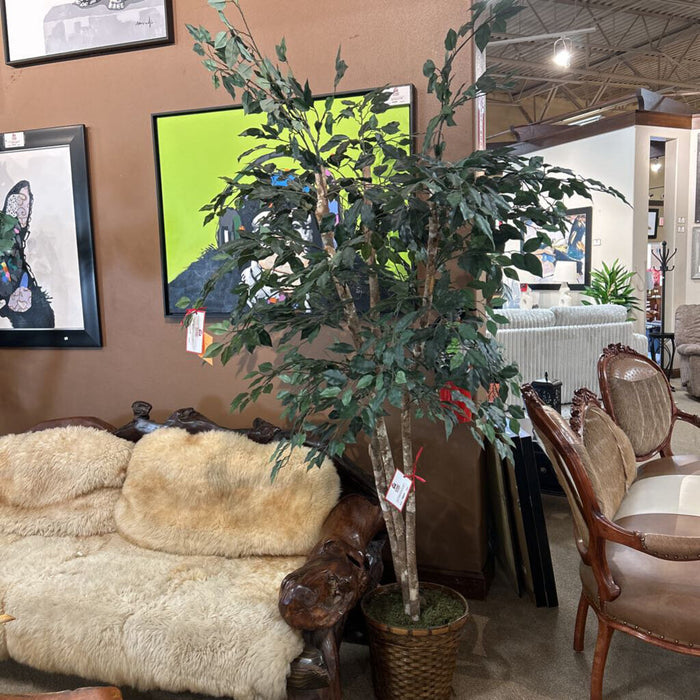 Multi Trunk Tree (AS)