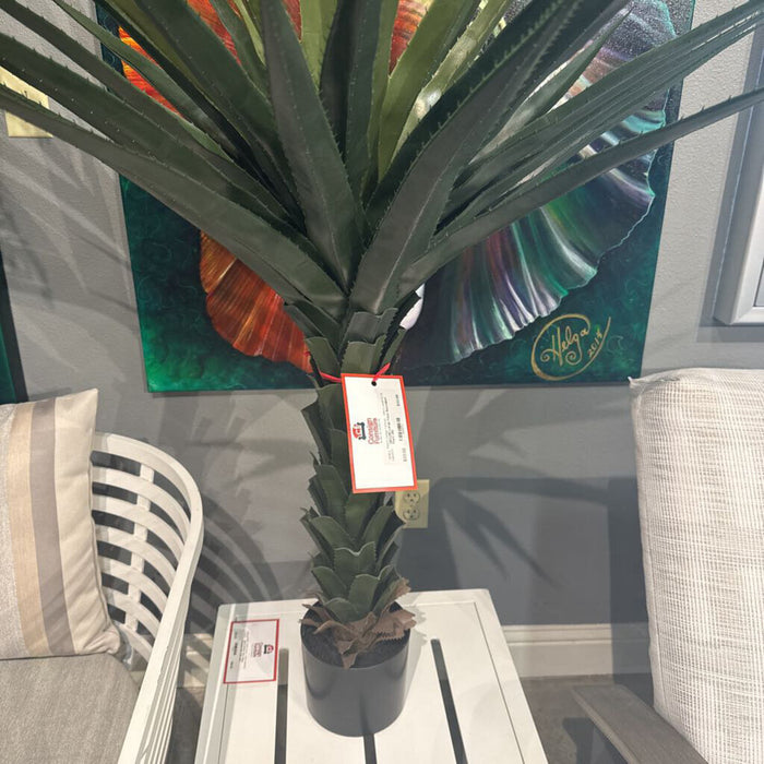 Large Faux Succulent Plant (BI)