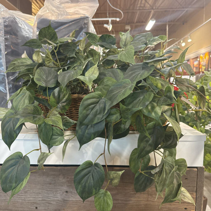 Rectangular wicker plant (BL)