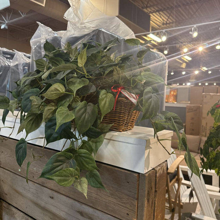 Rectangular wicker plant (BL)