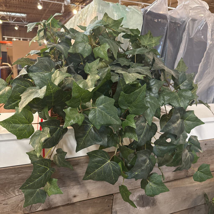 Rectangular wicker plant (BL)