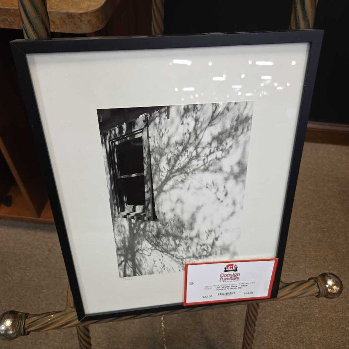 Black + White Shadow Artwork (BI)