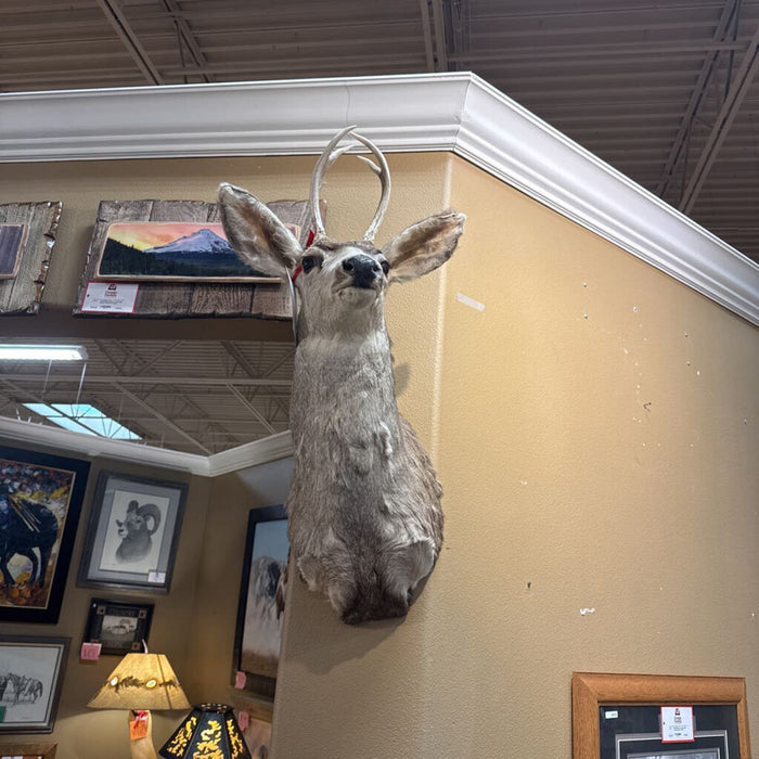 Buck Mount (LSH)