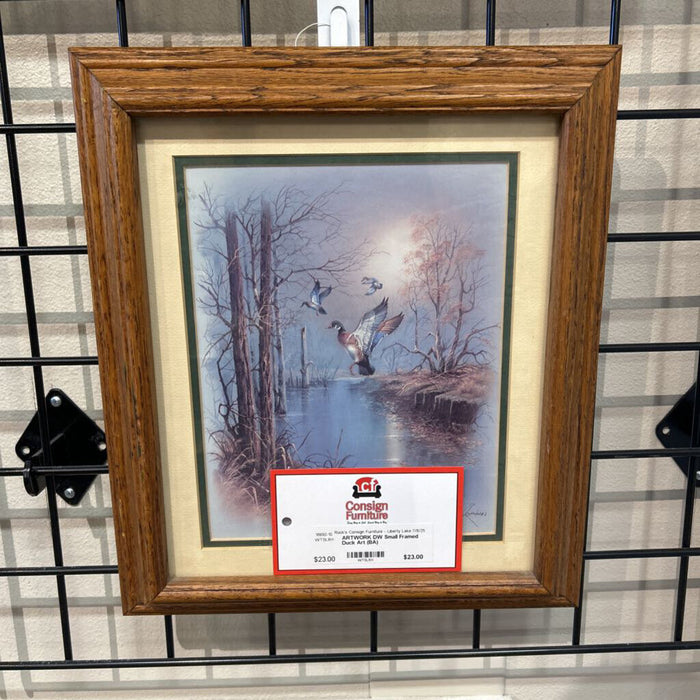 DW Small Framed Duck Art (BA)