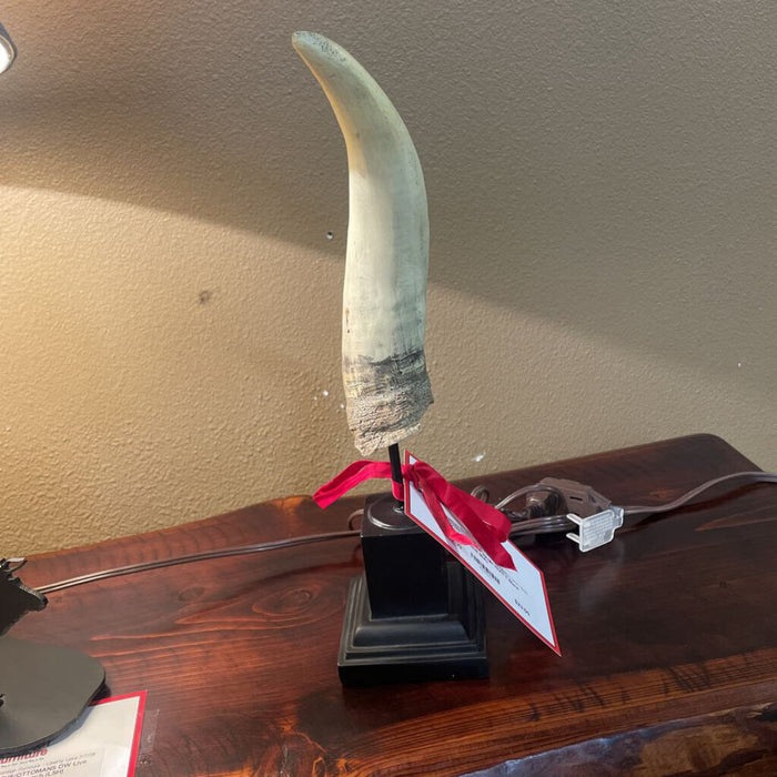 Single Horn + Black Stand (BA)