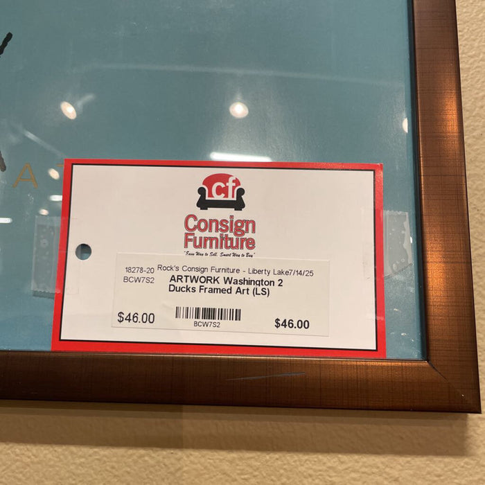 Washington 2 Ducks Framed Art (LS)