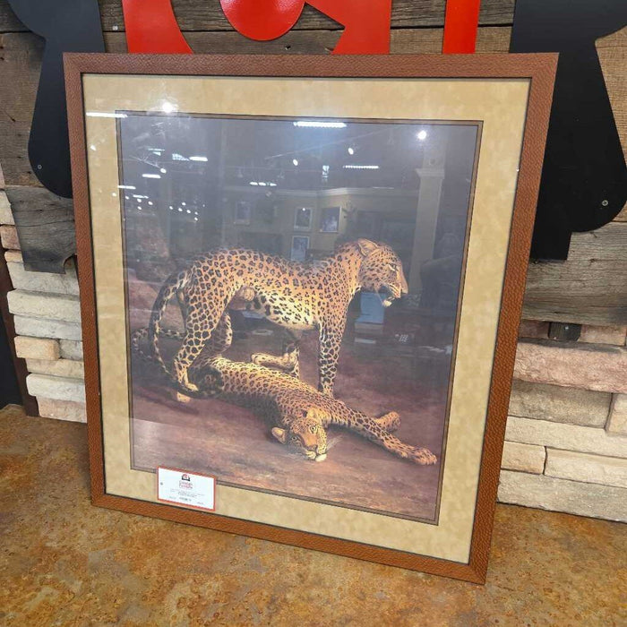 x2 Cheetah Framed Artwork (KL)