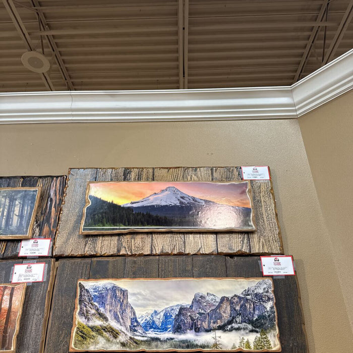 Rustic Mountain + Sunset Framed Art (BLA)