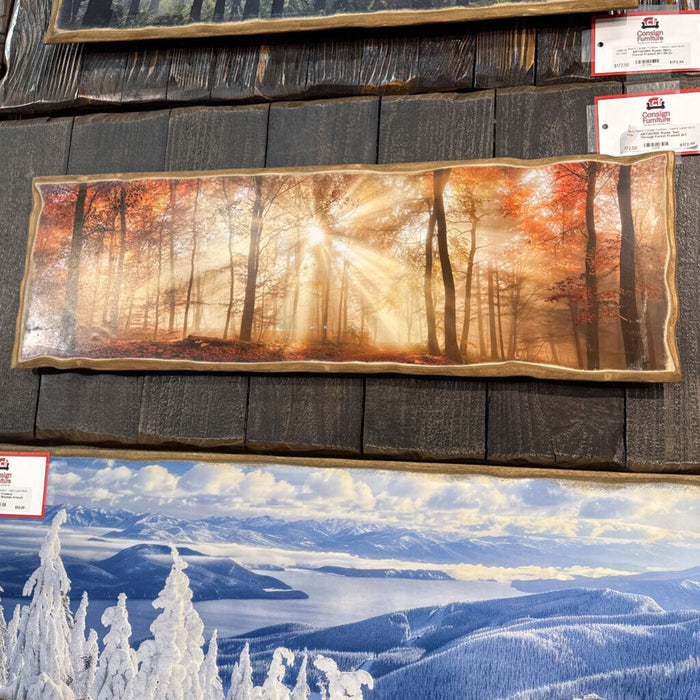 Rustic Sun Through Forest Framed Art (BLA)
