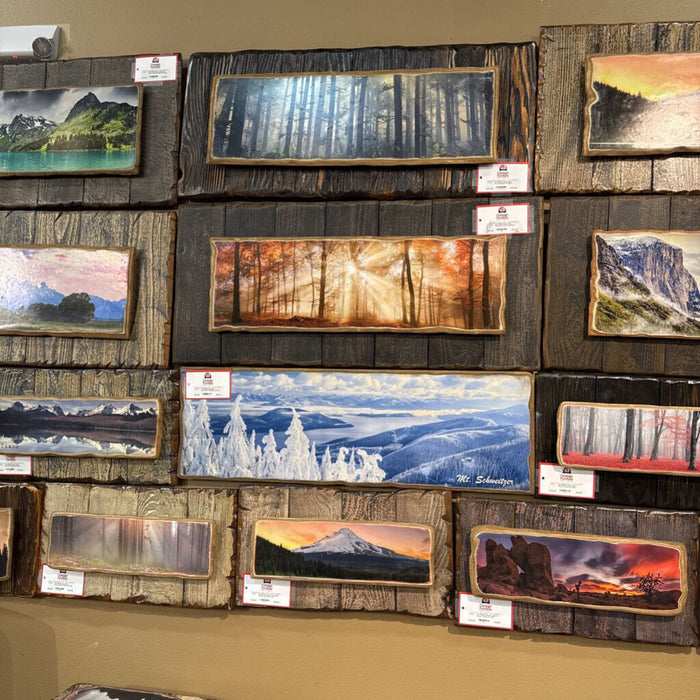 Rustic Sun Through Forest Framed Art (BLA)