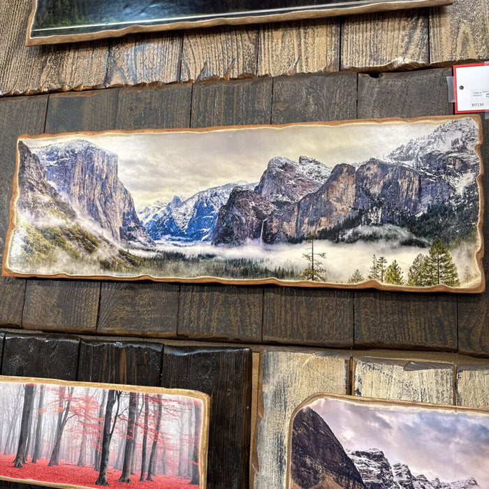 Rustic Mountain + Fog + Treeline Framed Art (BLA)