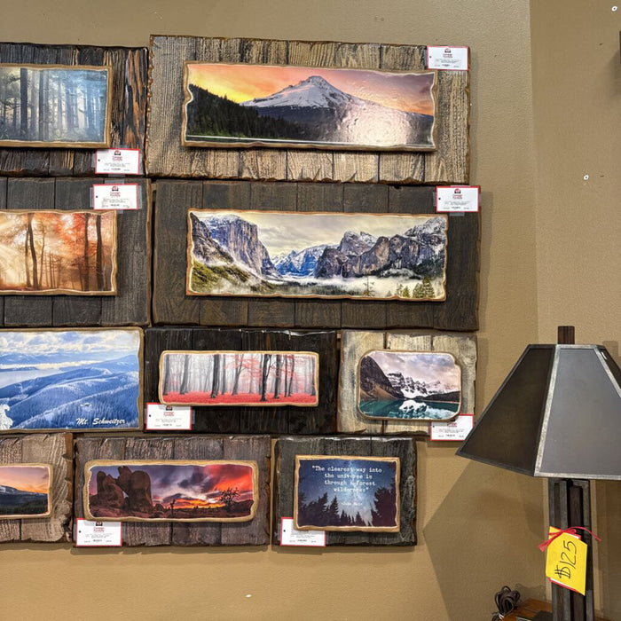 Rustic Mountain + Fog + Treeline Framed Art (BLA)