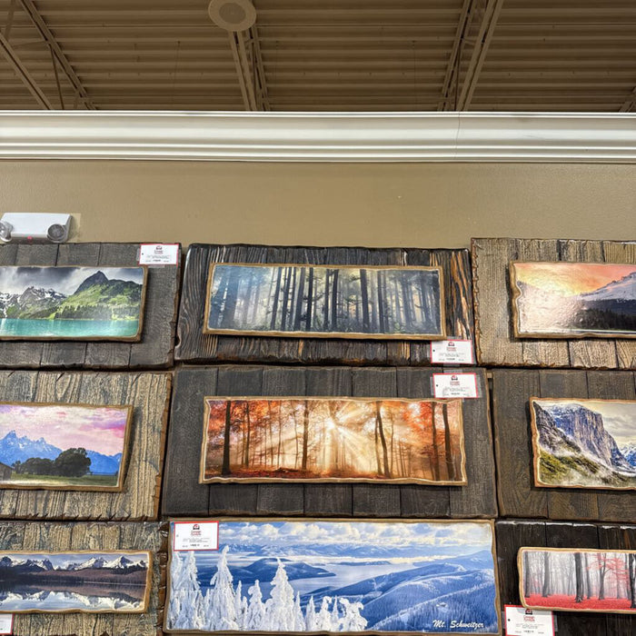 Rustic Misty Forest Framed Art (BLA)