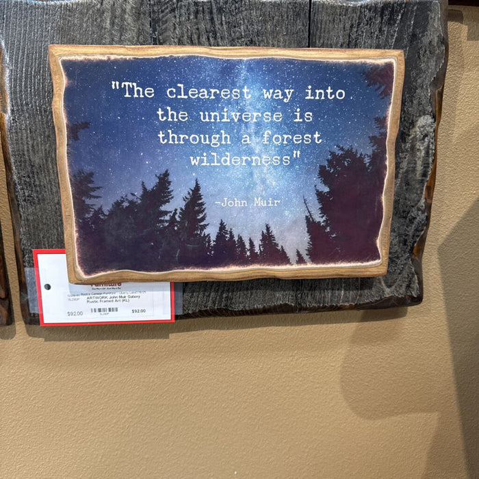 John Muir Galaxy Rustic Framed Art (KL)