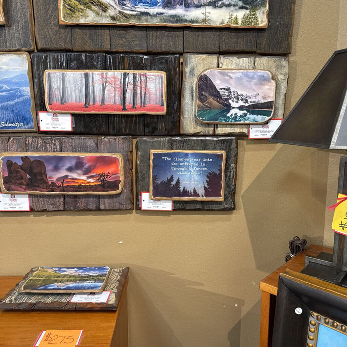 John Muir Galaxy Rustic Framed Art (KL)