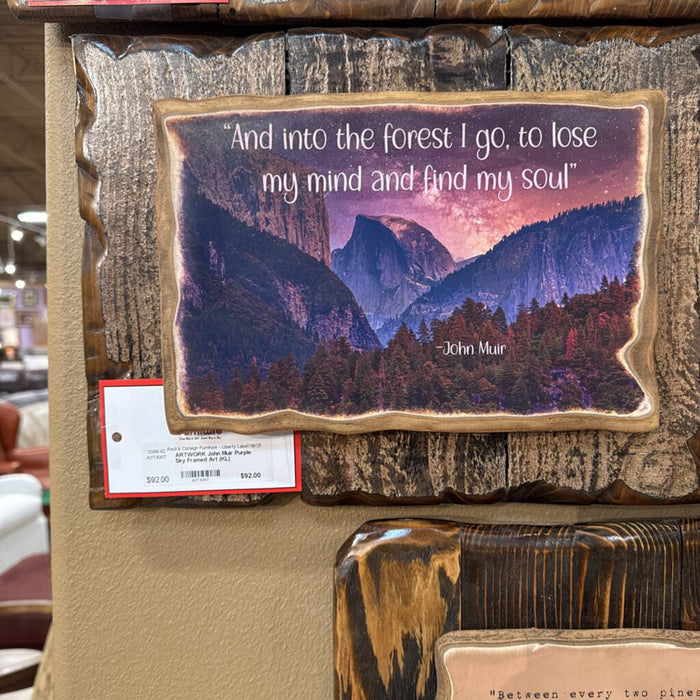 John Muir Purple Sky Framed Art (KL)