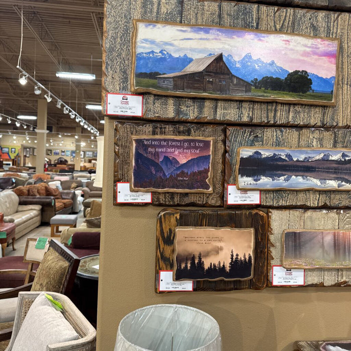 John Muir Purple Sky Framed Art (KL)