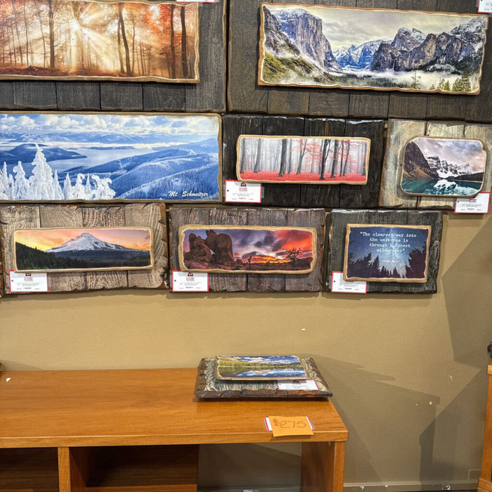 Sunset + Desert Rustic Framed Art (SK)