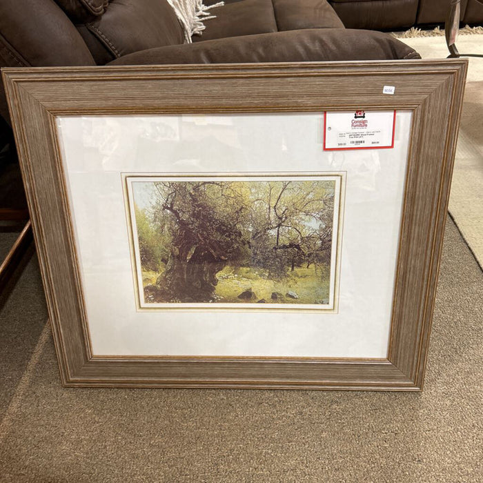 Wood Framed Tree Print (AT)