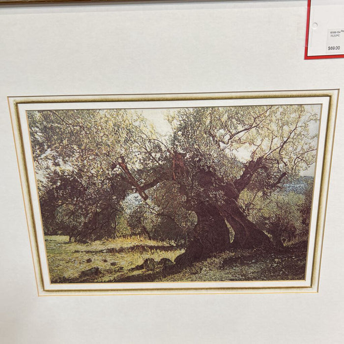 Wood Framed Tree Print (AT)