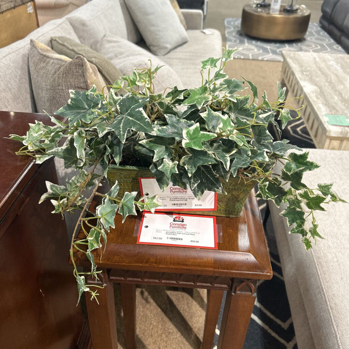 Plant In Green Patterned Pot (M)