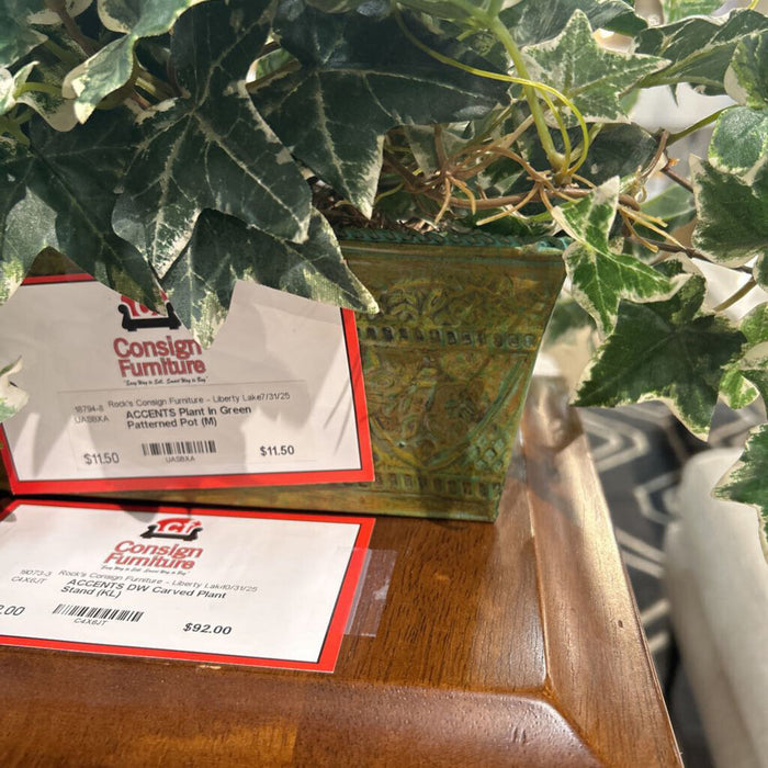 Plant In Green Patterned Pot (M)