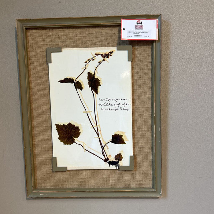 S/3 Leaf Saying Tile Art Framed (BII)