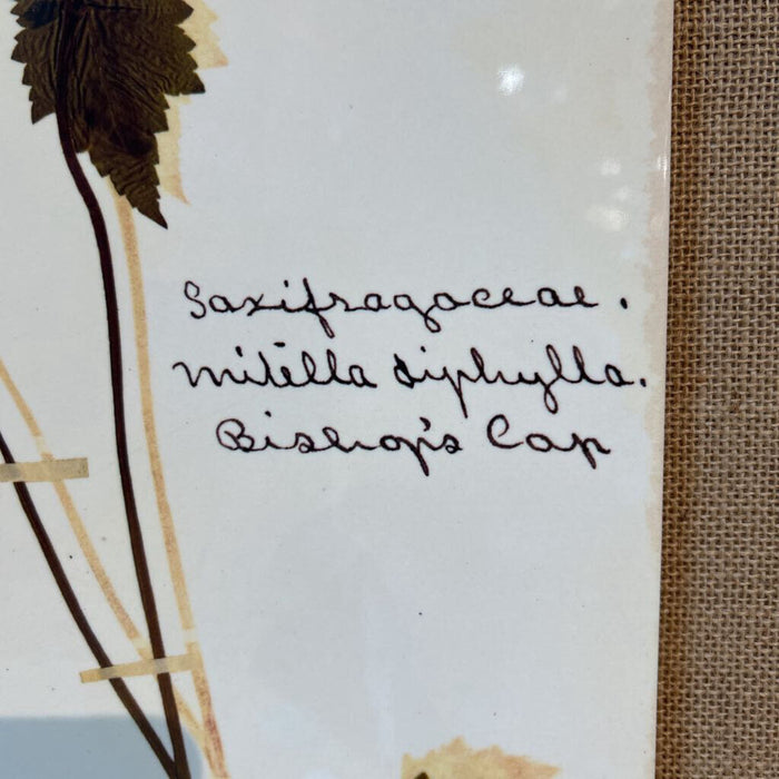 S/3 Leaf Saying Tile Art Framed (BII)