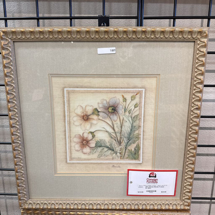 Primula Blonde Framed Art (BA)
