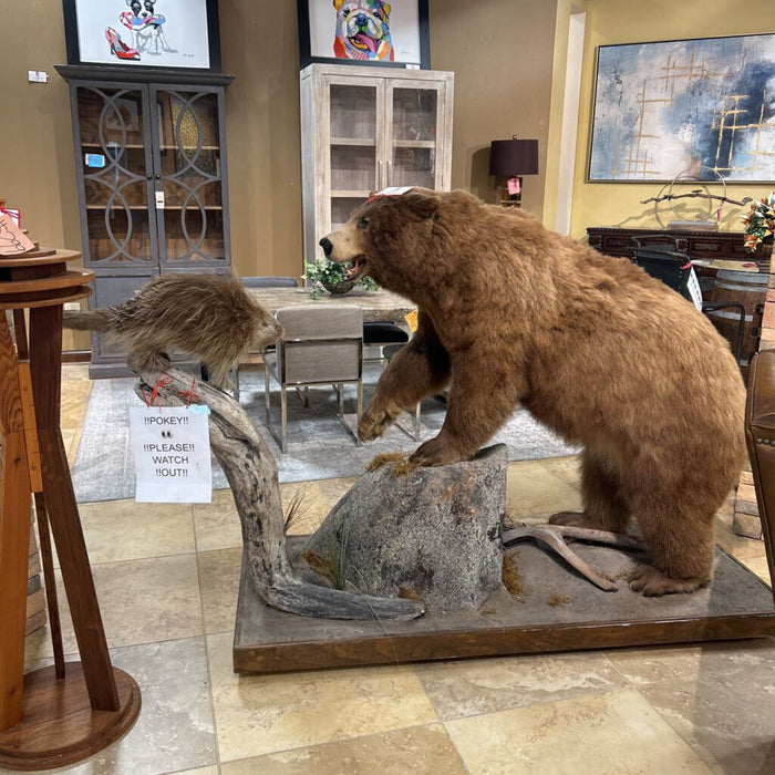 Black Bear W/ Bee Hive And Porcupine (CTHH)