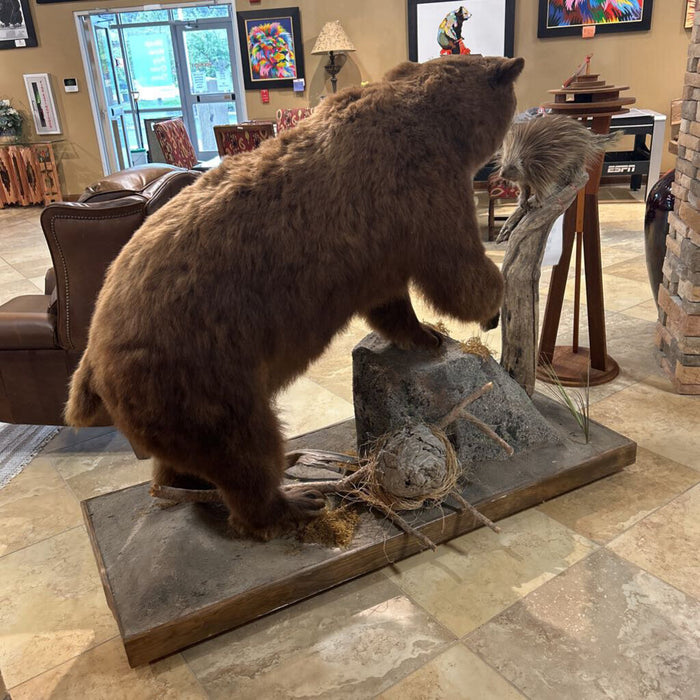 Black Bear W/ Bee Hive And Porcupine (CTHH)