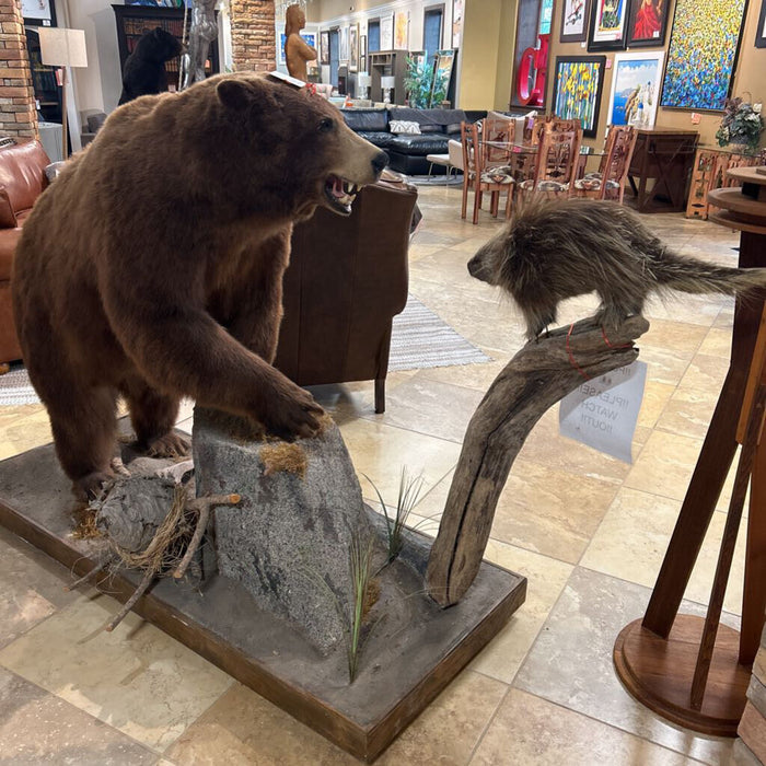 Black Bear W/ Bee Hive And Porcupine (CTHH)
