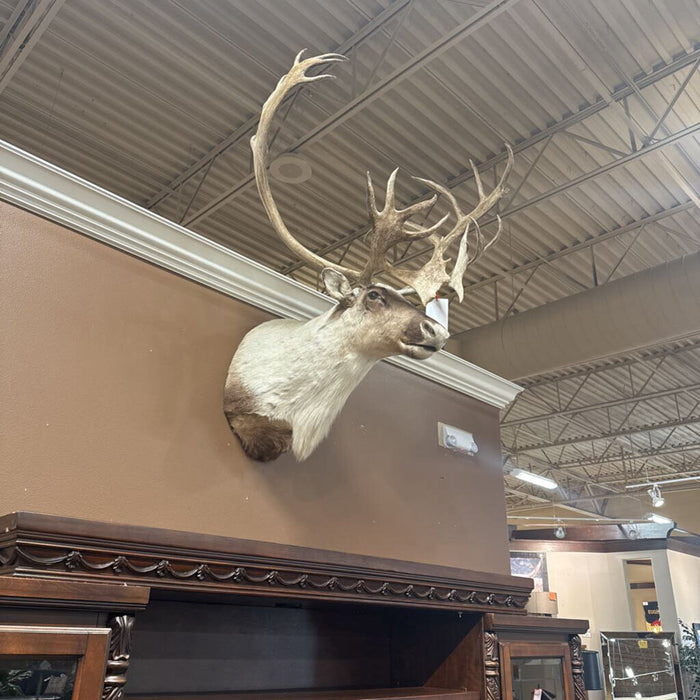 Caribou Mount (BLMH)