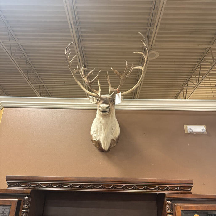 Caribou Mount (BLMH)