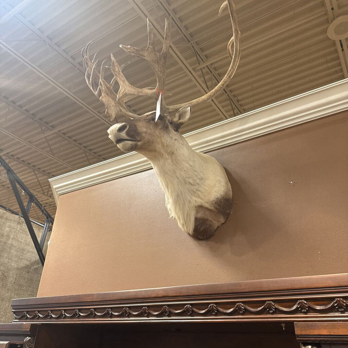 Caribou Mount (BLMH)