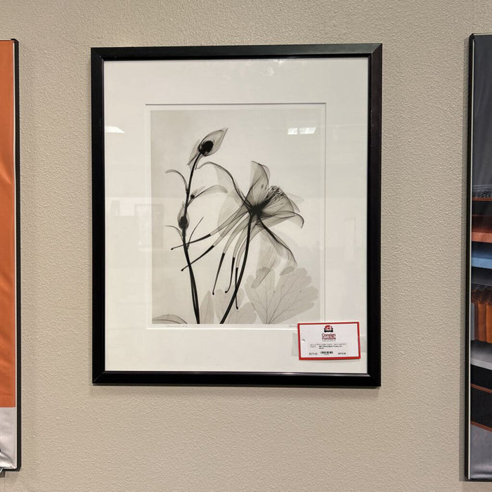 Floral Black Frame Art (ALK)