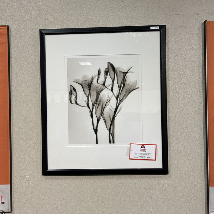 Floral Black Frame Art (ALK)