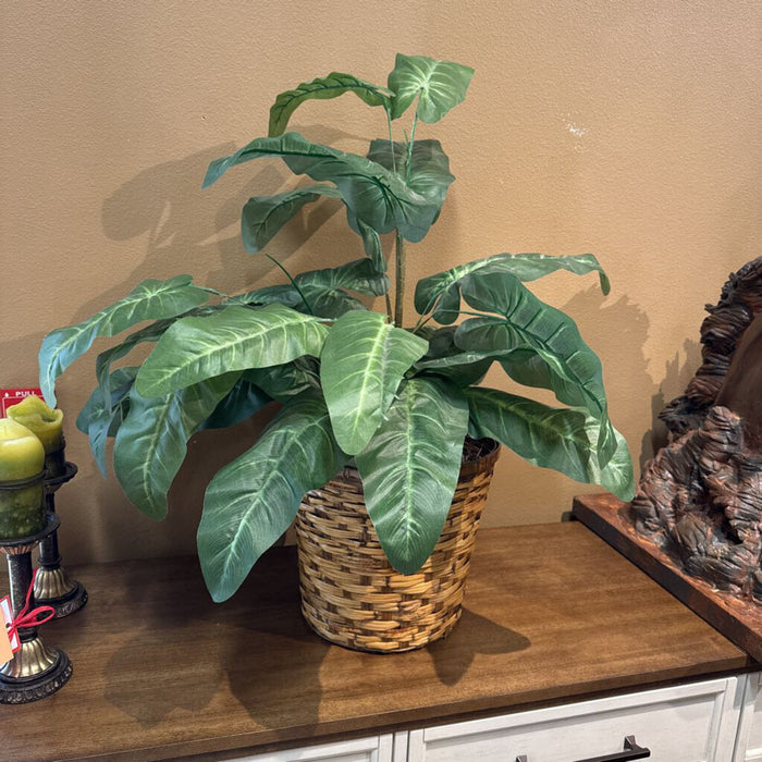 Faux Plant + Wicker Basket (LH)