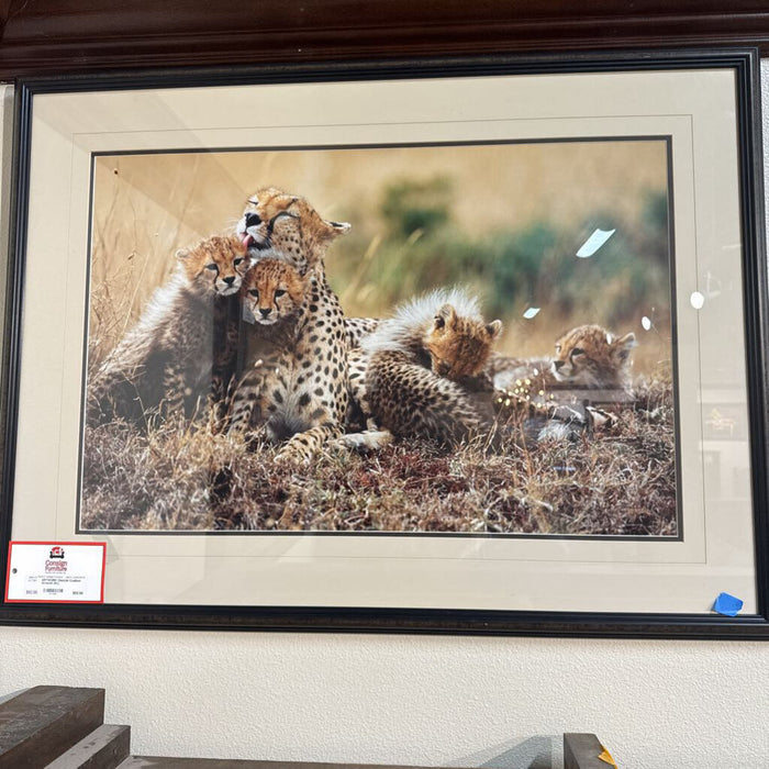 Cheetah Coalition Artwork (KL)