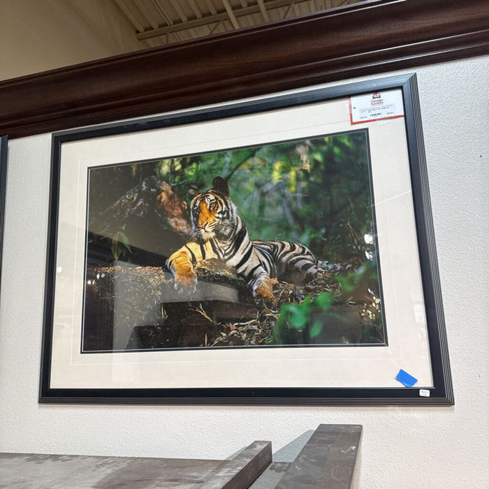 Tiger In The Jungle Art (KL)